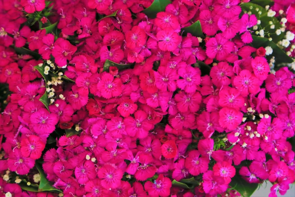 Ensemble fille orange