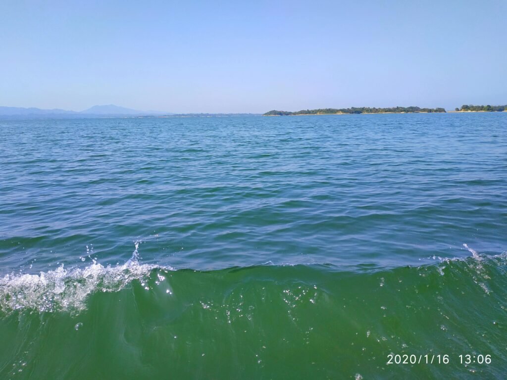 Ensemble fille turquoise