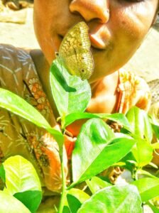 Ensemble garçon été blanc