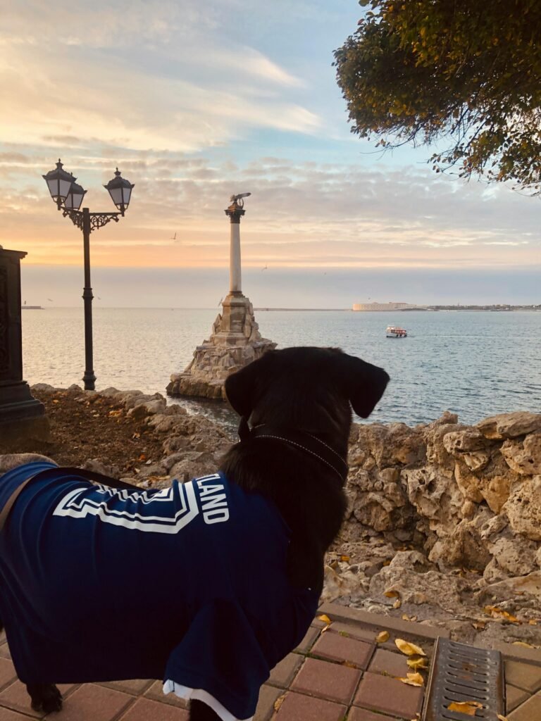 Ensemble garçon été noir