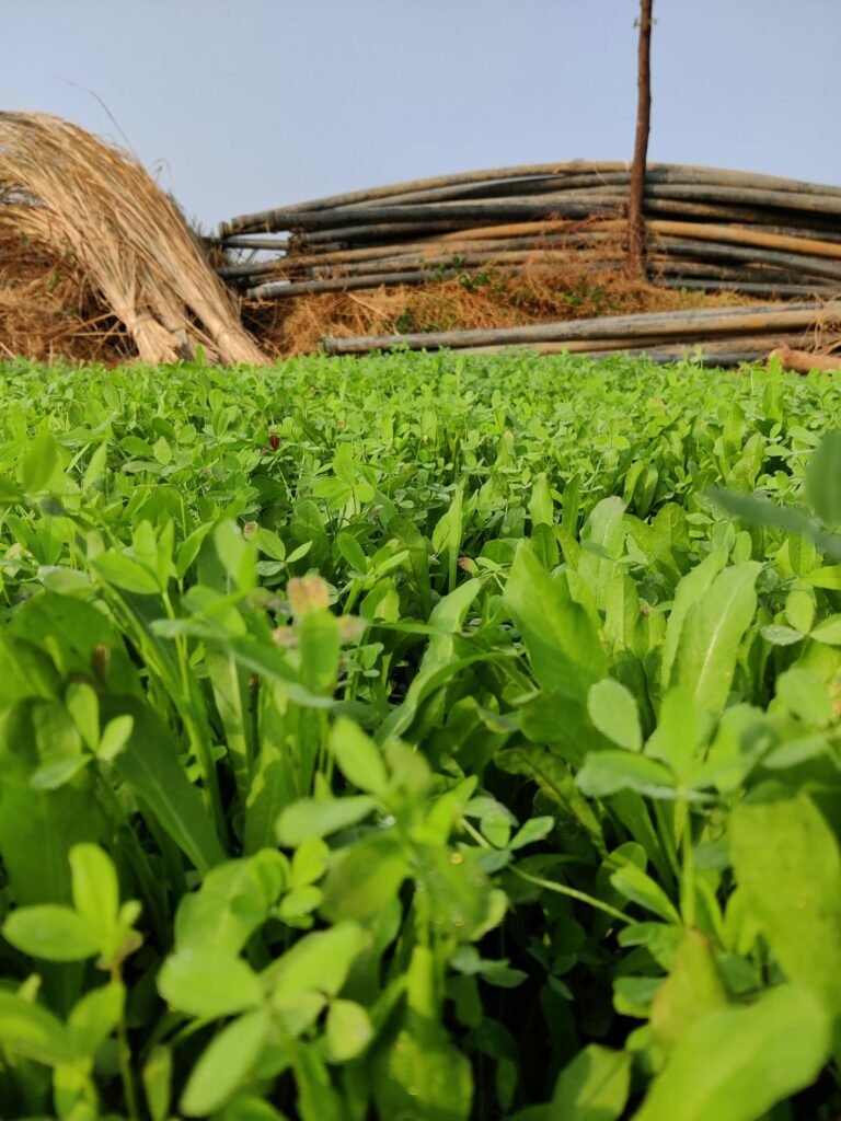 Pantalon garçon baggy