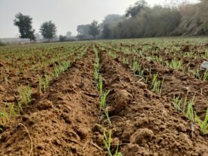 T-shirt garçon imprimé