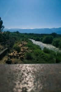 T-shirt garçon oversize